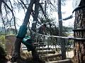 2004-08 Acrobranches 041